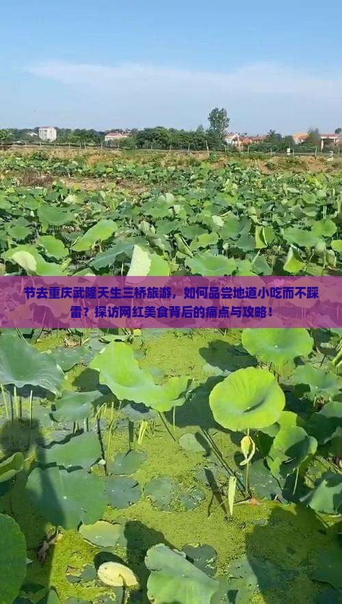 节去重庆武隆天生三桥旅游，如何品尝地道小吃而不踩雷？探访网红美食背后的痛点与攻略！