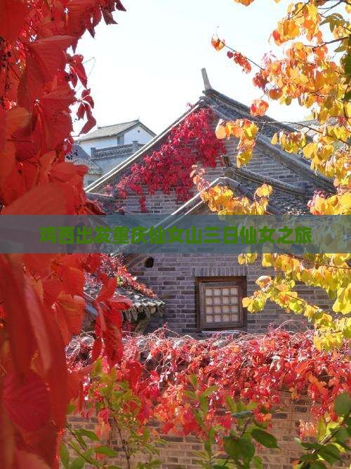 鸡西出发重庆仙女山三日仙女之旅