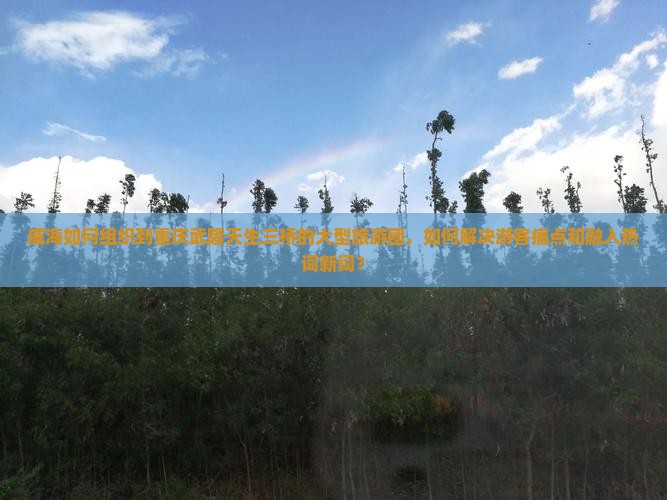 威海如何组织到重庆武隆天生三桥的大型旅游团，如何解决游客痛点和融入热词新词？