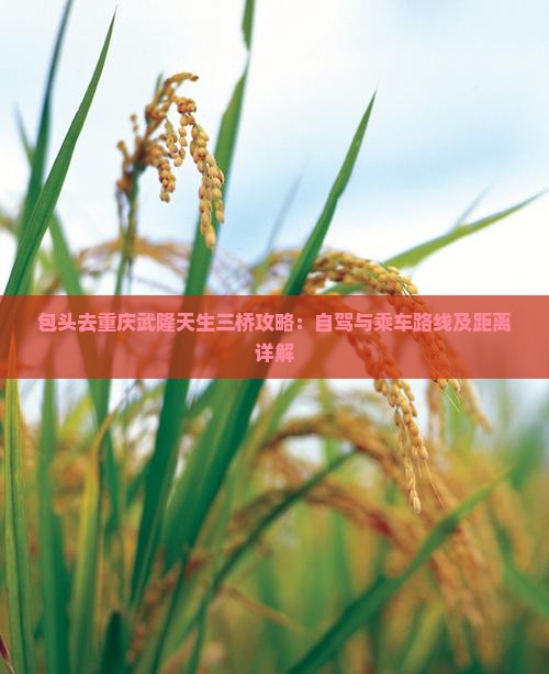 包头去重庆武隆天生三桥攻略：自驾与乘车路线及距离详解