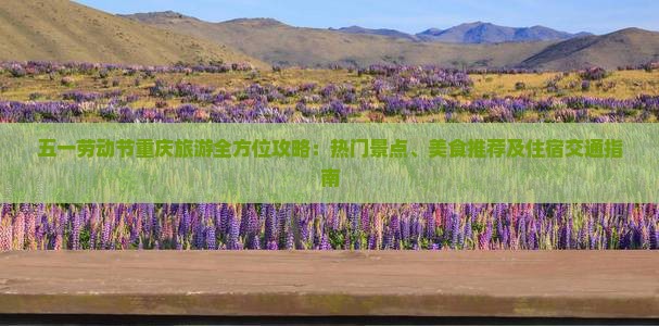 五一劳动节重庆旅游全方位攻略：热门景点、美食推荐及住宿交通指南