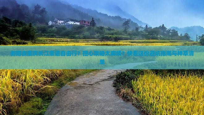 衡阳去重庆长江索道自由行？担心攻略太麻烦？快看这份避坑指南与种草清单