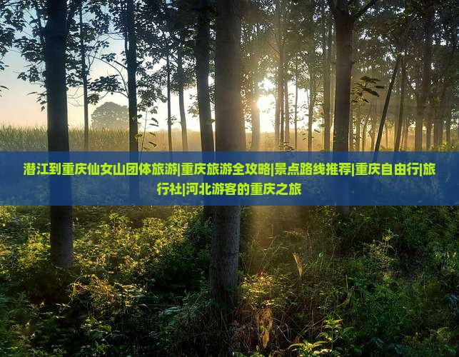 潜江到重庆仙女山团体旅游|重庆旅游全攻略|景点路线推荐|重庆自由行|旅行社|河北游客的重庆之旅