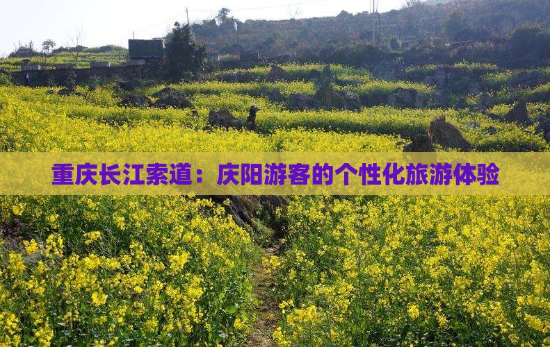 重庆长江索道：庆阳游客的个性化旅游体验