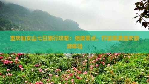 重庆仙女山七日旅行攻略：绝美景点，打造完美重庆旅游体验