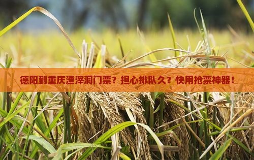 德阳到重庆渣滓洞门票？担心排队久？快用抢票神器！