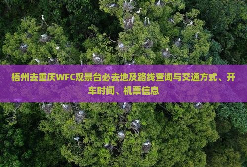 梧州去重庆WFC观景台必去地及路线查询与交通方式、开车时间、机票信息
