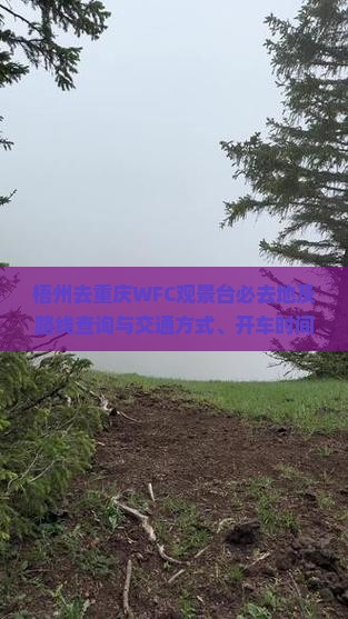 梧州去重庆WFC观景台必去地及路线查询与交通方式、开车时间、机票信息
