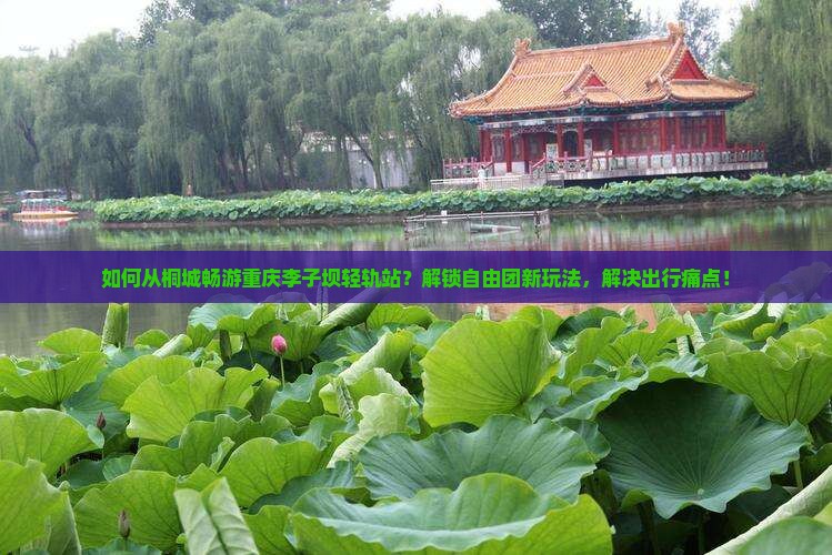 如何从桐城畅游重庆李子坝轻轨站？解锁自由团新玩法，解决出行痛点！