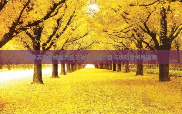 邯郸去重庆武隆天生三桥二日游：自驾攻略及费用指南