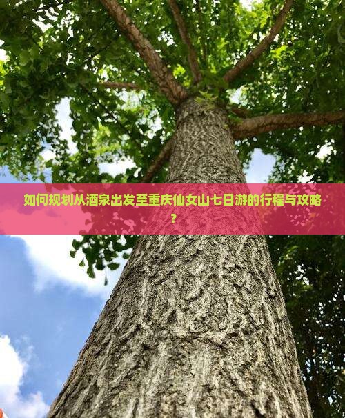 如何规划从酒泉出发至重庆仙女山七日游的行程与攻略？