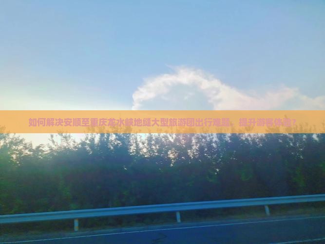 如何解决安顺至重庆龙水峡地缝大型旅游团出行难题，提升游客体验？