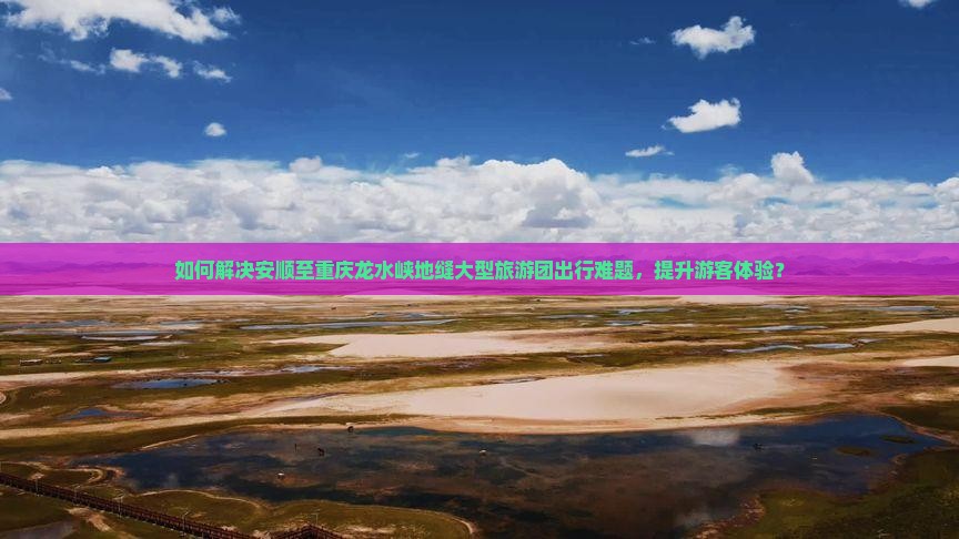 如何解决安顺至重庆龙水峡地缝大型旅游团出行难题，提升游客体验？