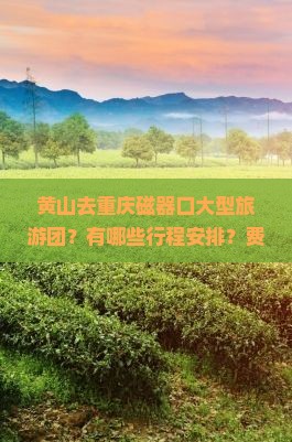黄山去重庆磁器口大型旅游团？有哪些行程安排？费用包含哪些？适合什么人群参加？