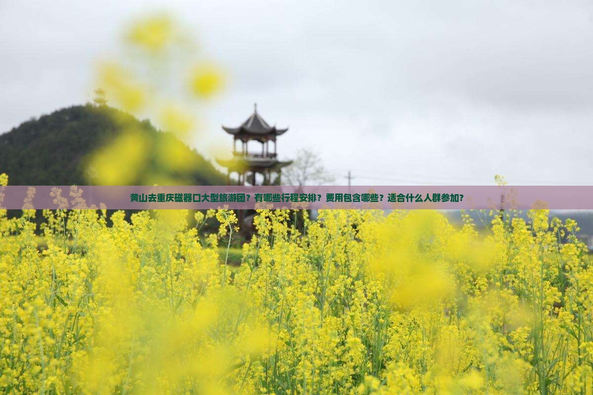 黄山去重庆磁器口大型旅游团？有哪些行程安排？费用包含哪些？适合什么人群参加？