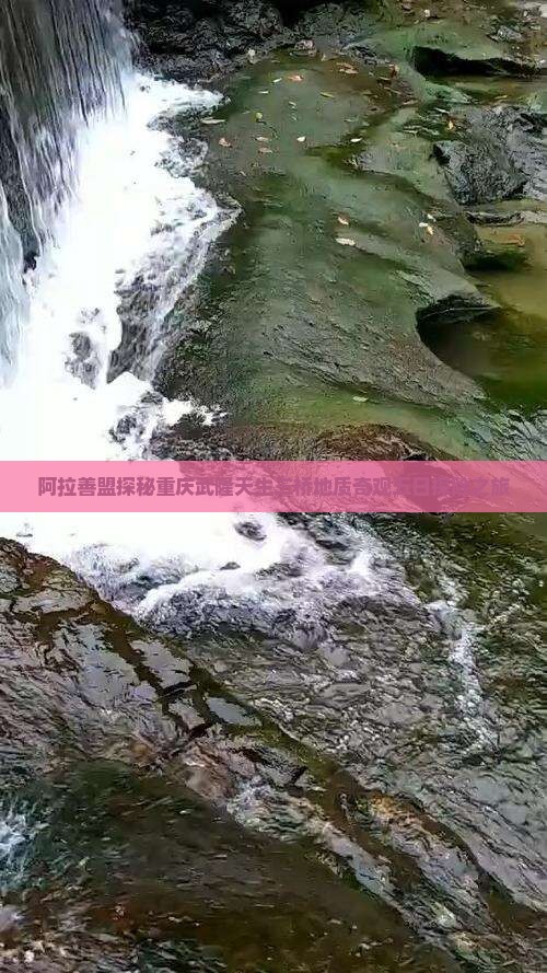 阿拉善盟探秘重庆武隆天生三桥地质奇观五日探险之旅