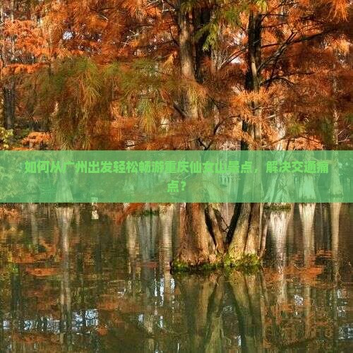 如何从广州出发轻松畅游重庆仙女山景点，解决交通痛点？