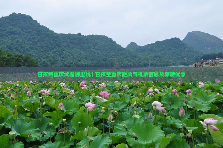 甘孜到重庆武隆哪里玩 | 甘孜至重庆距离与机票信息及旅游优惠