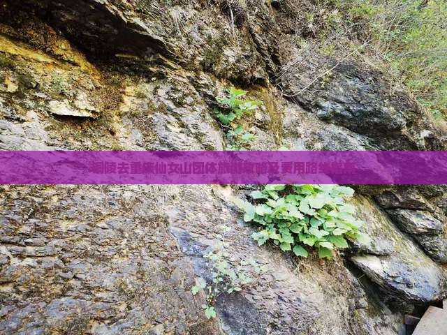 铜陵去重庆仙女山团体旅游攻略及费用路线指南