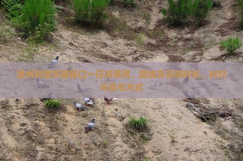 惠州到重庆磁器口一日游费用、路线及高铁时长、时刻与乘车方式