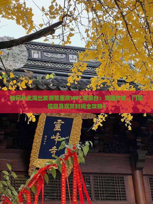 如何从北海出发游览重庆WFC观景台：交通方式、门票信息及观赏时间全攻略？