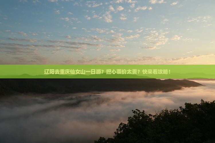 辽阳去重庆仙女山一日游？担心票价太贵？快来看攻略！