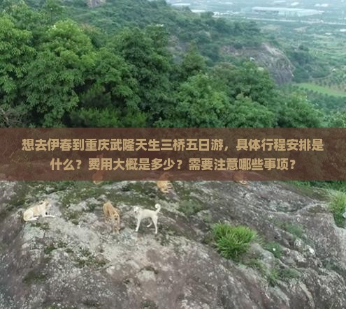 想去伊春到重庆武隆天生三桥五日游，具体行程安排是什么？费用大概是多少？需要注意哪些事项？