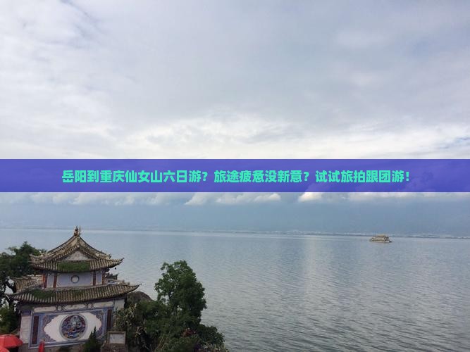 岳阳到重庆仙女山六日游？旅途疲惫没新意？试试旅拍跟团游！