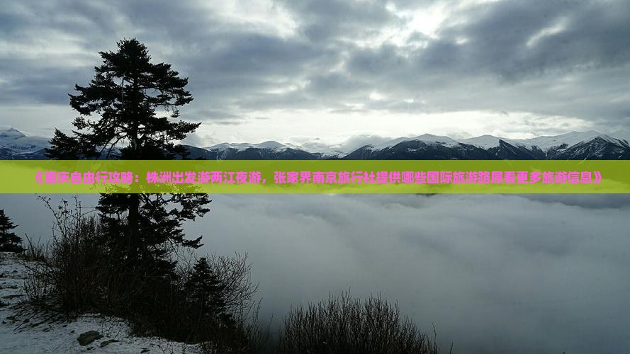 《重庆自由行攻略：株洲出发游两江夜游，张家界南京旅行社提供哪些国际旅游路犀看更多旅游信息》
