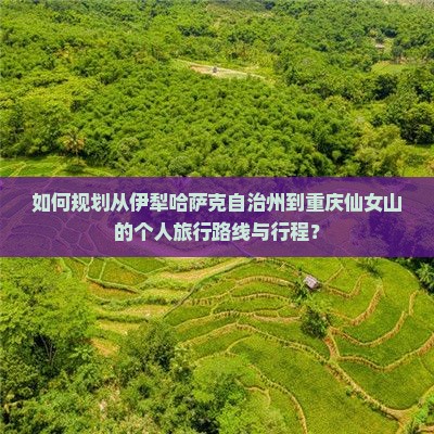 如何规划从伊犁哈萨克自治州到重庆仙女山的个人旅行路线与行程？