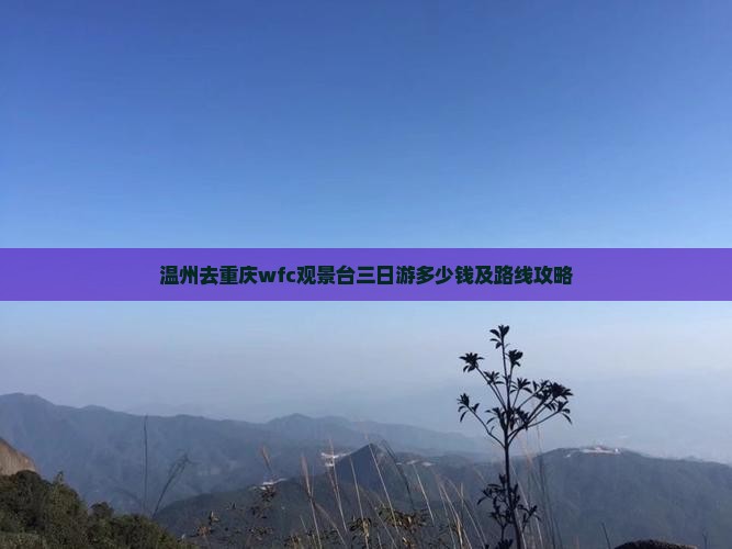 温州去重庆wfc观景台三日游多少钱及路线攻略