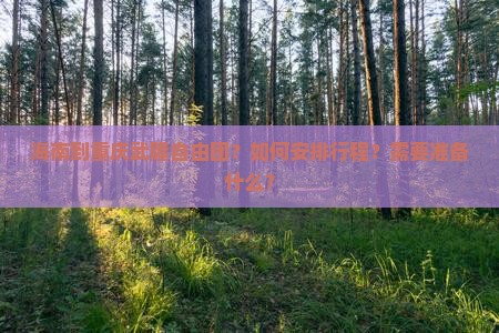 海南到重庆武隆自由团？如何安排行程？需要准备什么？