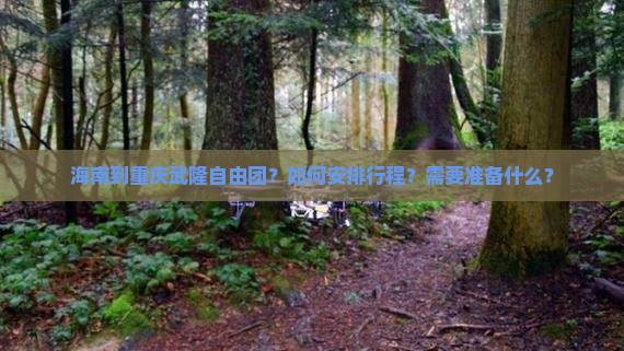 海南到重庆武隆自由团？如何安排行程？需要准备什么？