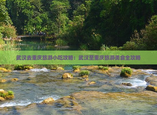 武汉去重庆旅游小吃攻略：武汉至重庆旅游美食全攻略