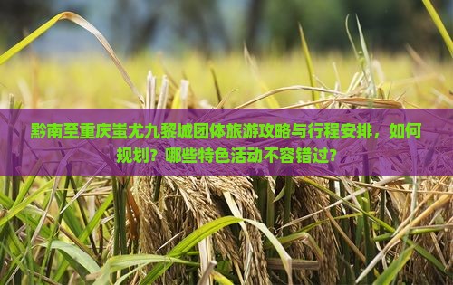 黔南至重庆蚩尤九黎城团体旅游攻略与行程安排，如何规划？哪些特色活动不容错过？