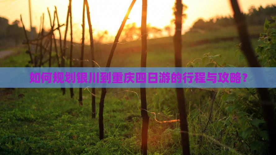 如何规划银川到重庆四日游的行程与攻略？