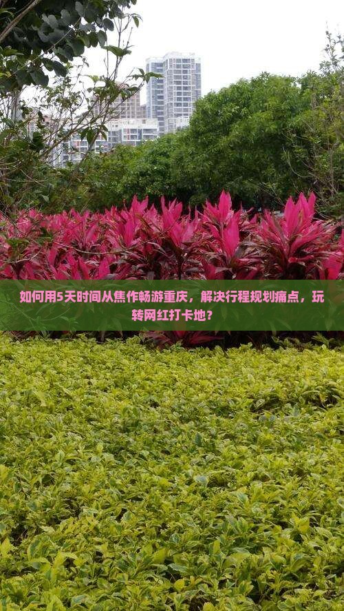 如何用5天时间从焦作畅游重庆，解决行程规划痛点，玩转网红打卡地？