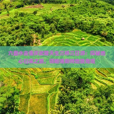 六盘水去重庆武隆天生三桥三日游：探秘地心归来之旅，领略喀斯特地貌奇观