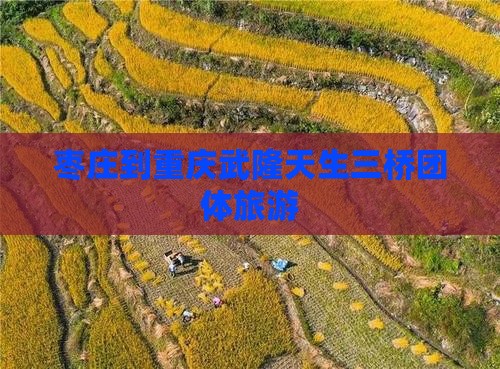 枣庄到重庆武隆天生三桥团体旅游