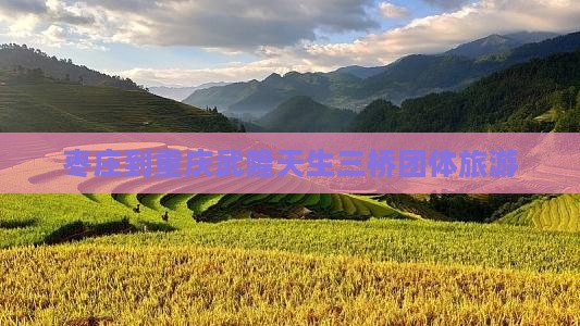 枣庄到重庆武隆天生三桥团体旅游