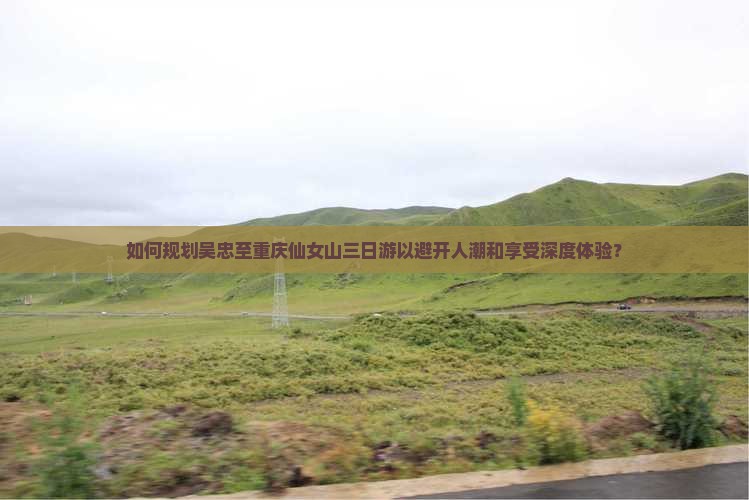 如何规划吴忠至重庆仙女山三日游以避开人潮和享受深度体验？