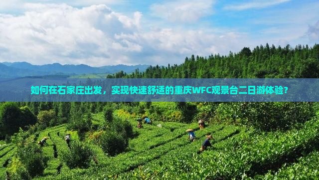 如何在石家庄出发，实现快速舒适的重庆WFC观景台二日游体验？