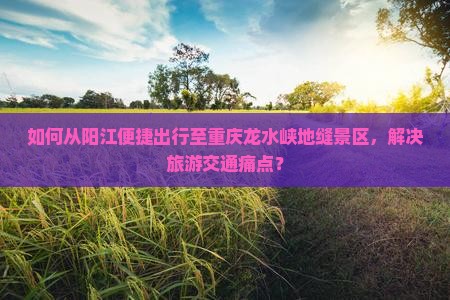 如何从阳江便捷出行至重庆龙水峡地缝景区，解决旅游交通痛点？