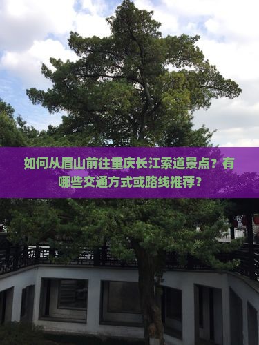 如何从眉山前往重庆长江索道景点？有哪些交通方式或路线推荐？