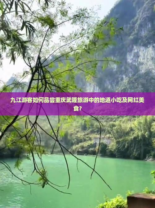 九江游客如何品尝重庆武隆旅游中的地道小吃及网红美食？