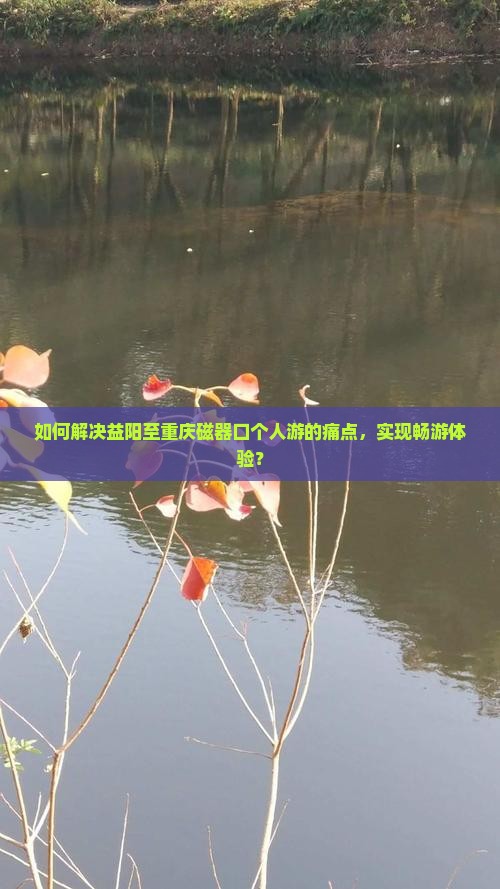 如何解决益阳至重庆磁器口个人游的痛点，实现畅游体验？