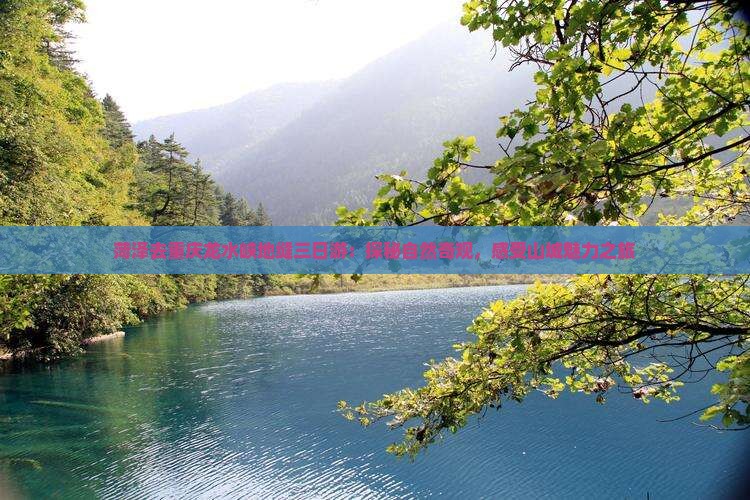 菏泽去重庆龙水峡地缝三日游：探秘自然奇观，感受山城魅力之旅