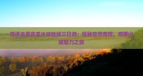 菏泽去重庆龙水峡地缝三日游：探秘自然奇观，感受山城魅力之旅