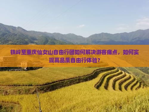 铁岭至重庆仙女山自由行团如何解决游客痛点，如何实现高品质自由行体验？