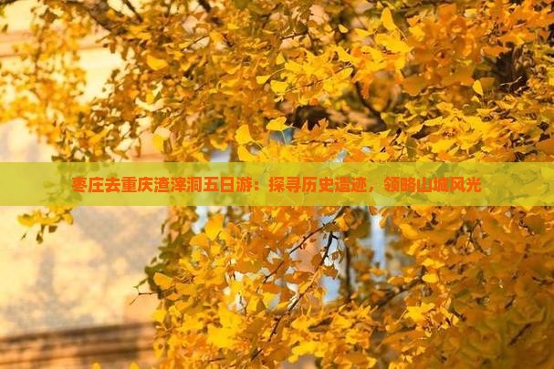 枣庄去重庆渣滓洞五日游：探寻历史遗迹，领略山城风光